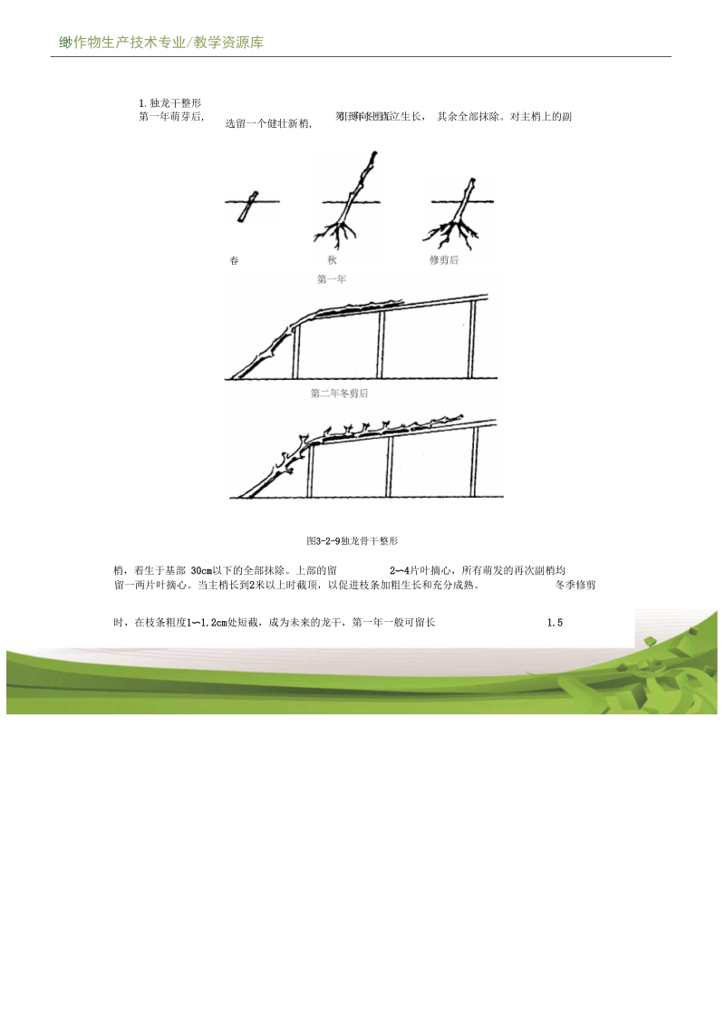 设施果树生产葡萄设施栽培的树型及其培养电子教材1概要.docx_第2页
