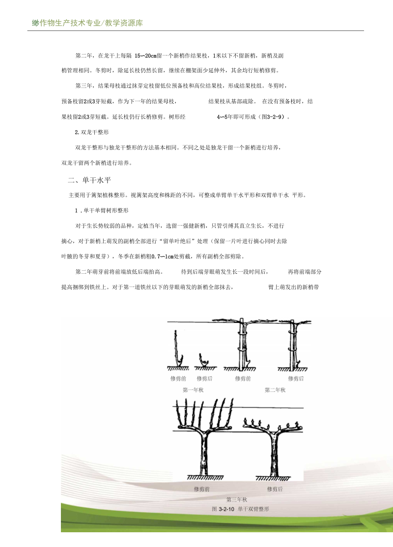 设施果树生产葡萄设施栽培的树型及其培养电子教材1概要.docx_第3页