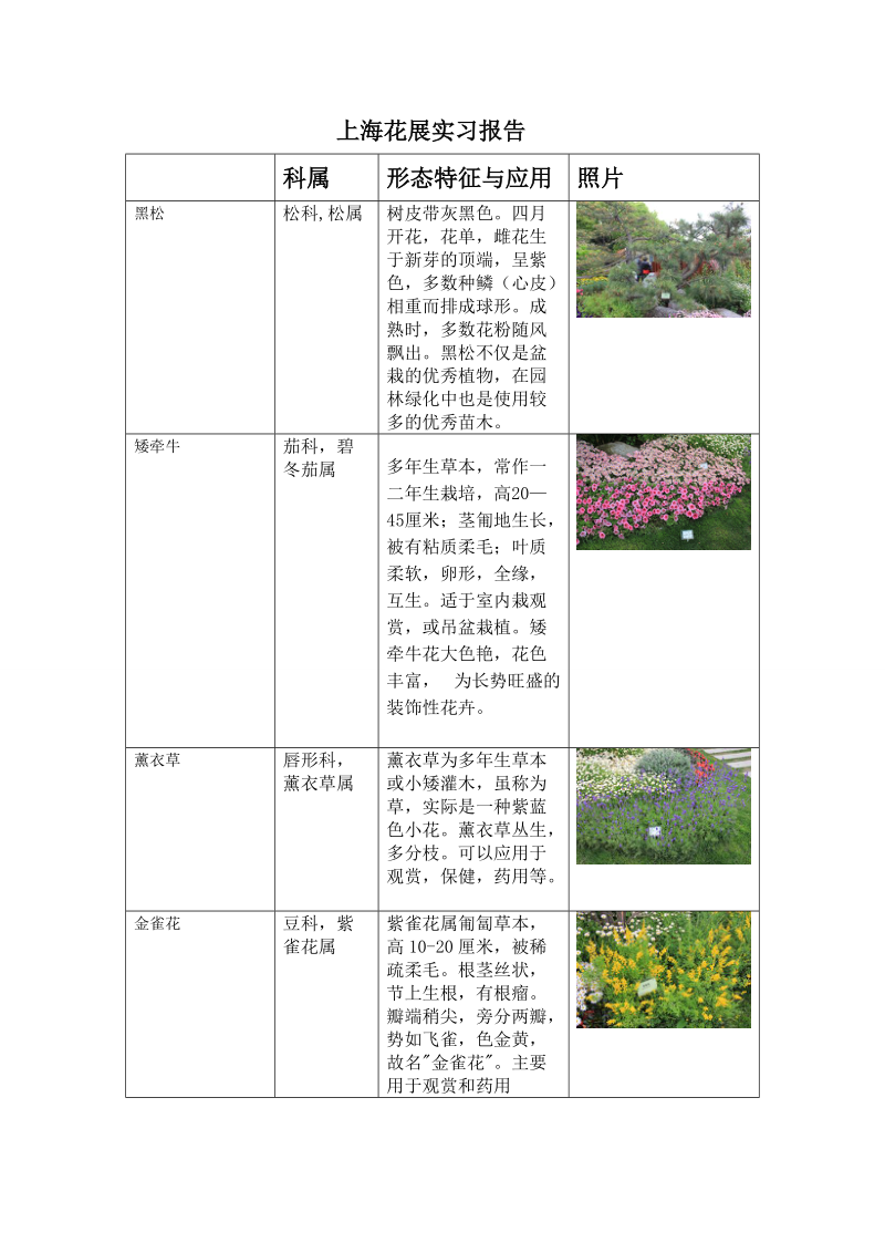 上海植物园草本花卉种类.doc_第1页