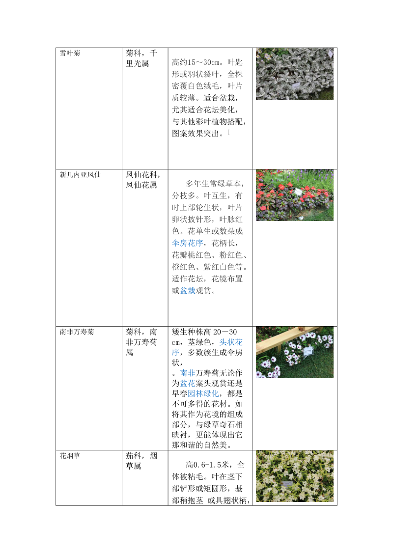 上海植物园草本花卉种类.doc_第2页