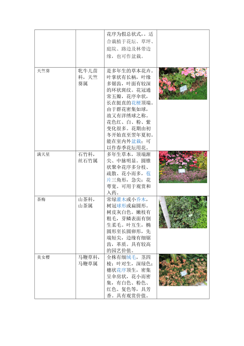 上海植物园草本花卉种类.doc_第3页
