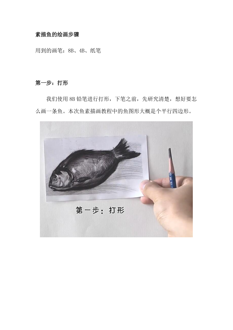 素描鱼的绘画步骤.docx_第1页