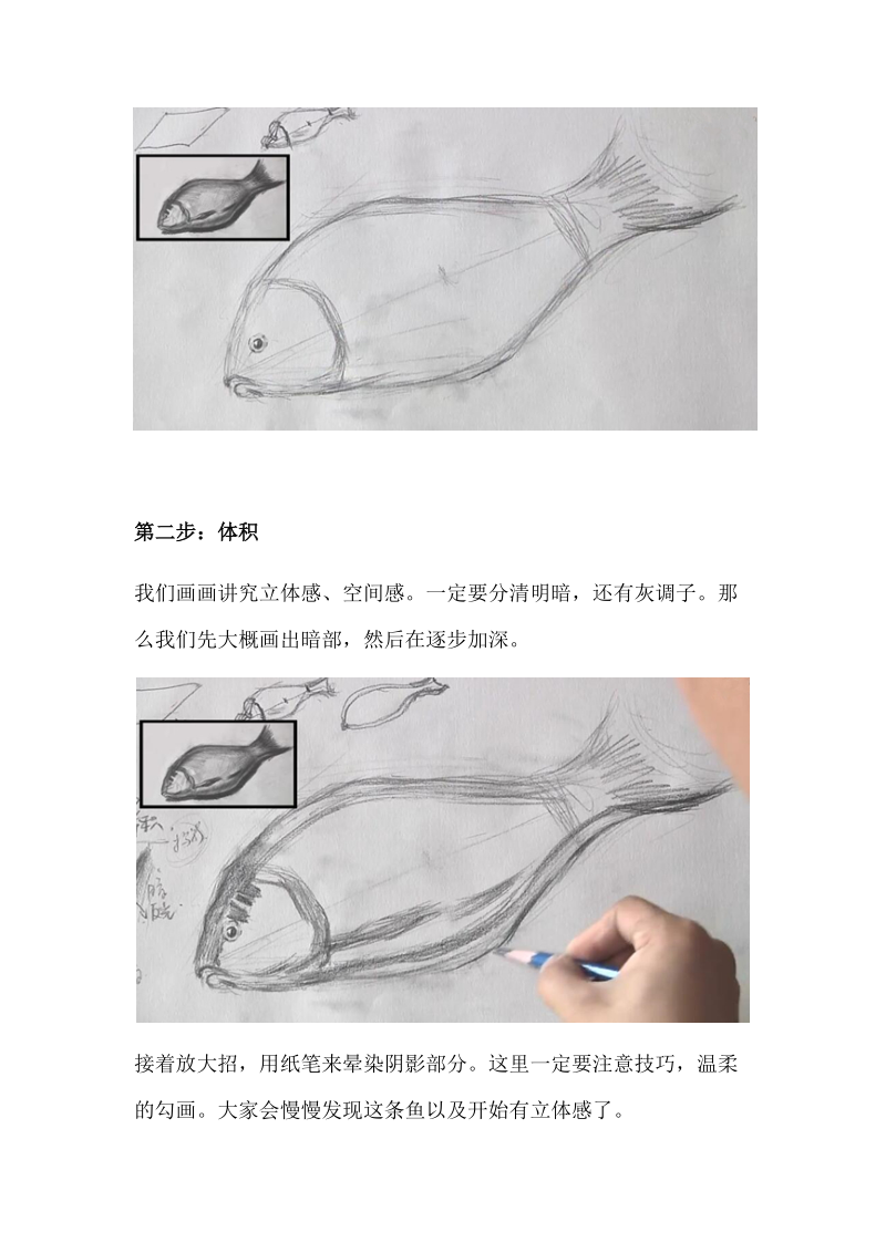 素描鱼的绘画步骤.docx_第3页