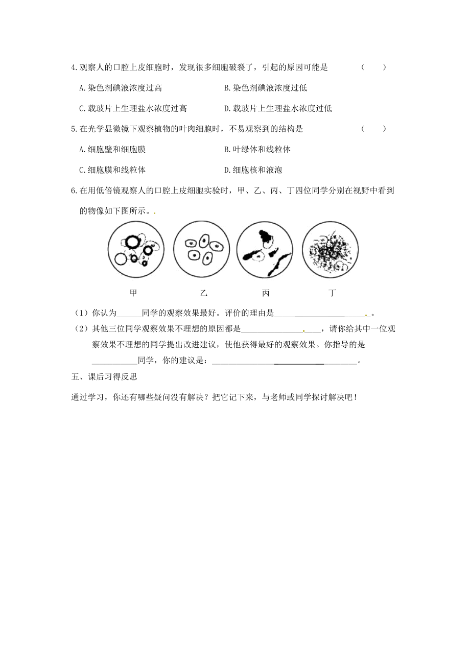 江西省九江市实验七年级生物《观察植物、动物细胞》学案（1）.doc_第3页
