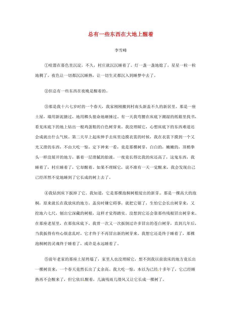 初中语文 总有一些东西在大地上醒着阅读理解练习 试题.doc_第1页