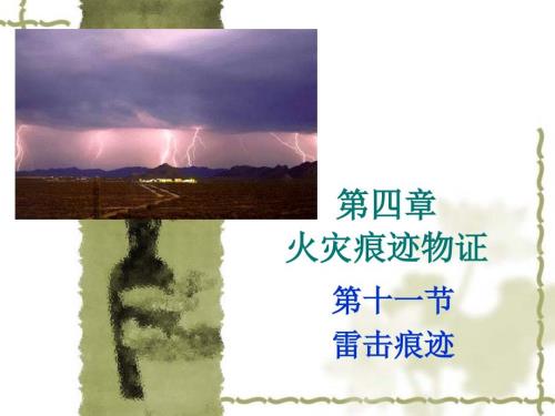 火灾痕迹物证11节雷击.ppt