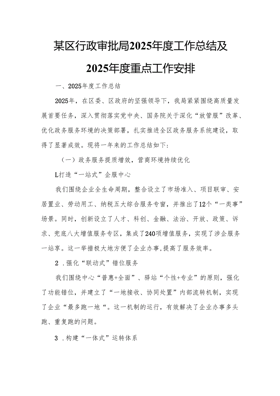 某区行政审批局2025工作总结及2025重点工作安排4.docx_第1页