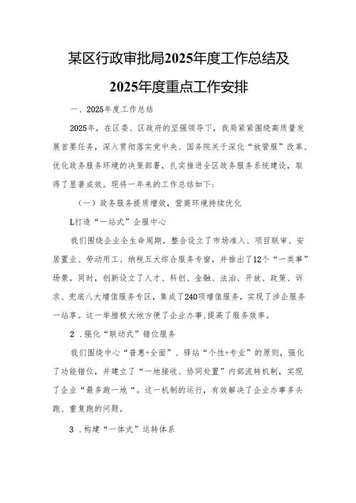 某区行政审批局2025工作总结及2025重点工作安排4.docx