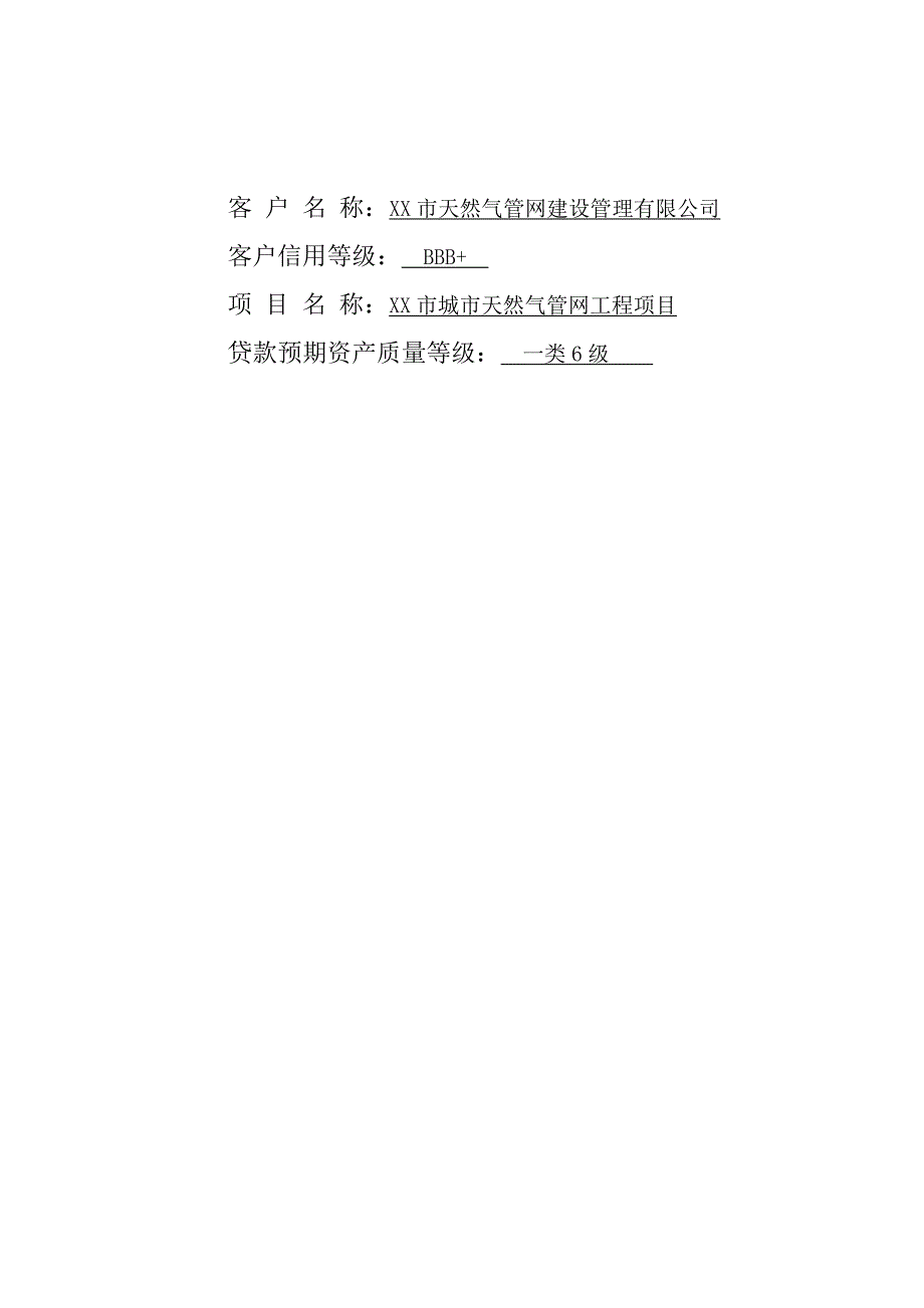 某城市天然气管网工程项目评审报告.doc_第2页