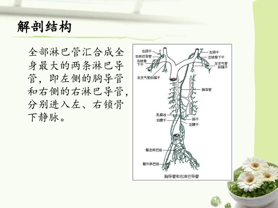 甲状腺术后乳糜漏的护理.ppt_第3页