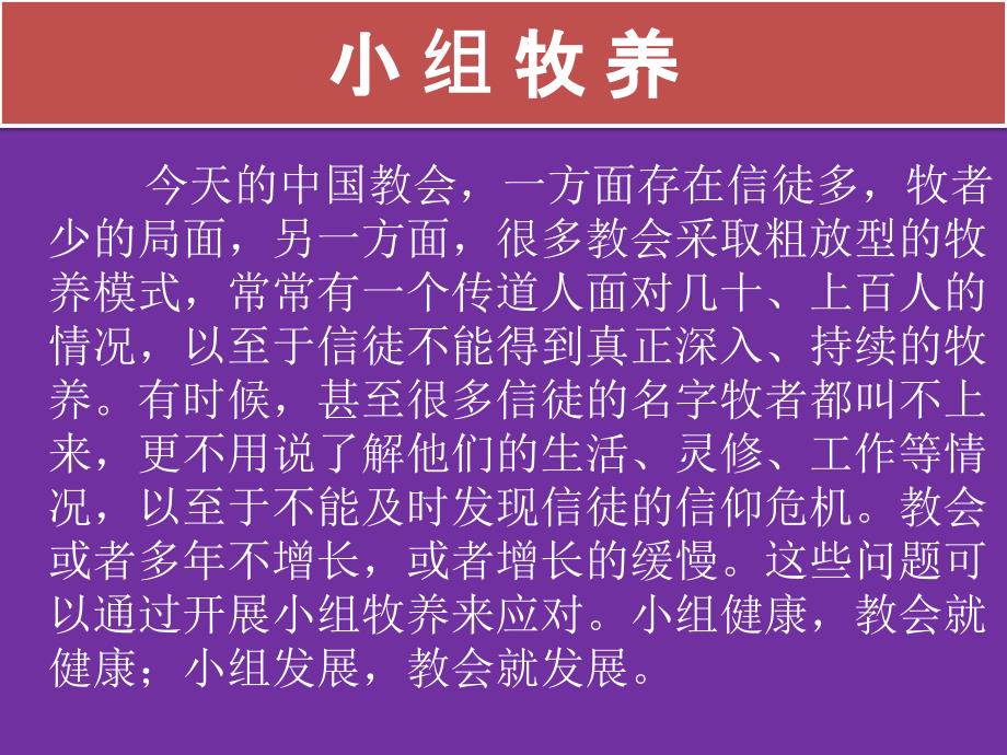 小组牧养及功能结构图.ppt_第1页
