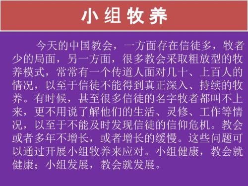 小组牧养及功能结构图.ppt