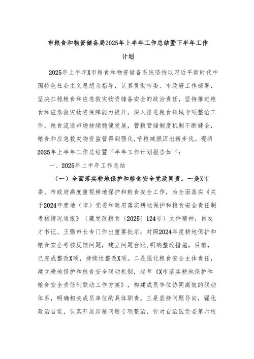 市粮食和物资储备局2025年上半年工作总结暨下半年工作计划.docx