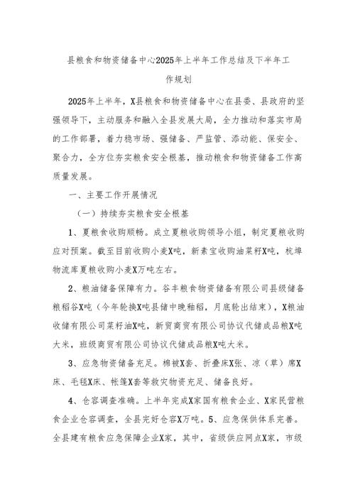县粮食和物资储备中心2025年上半年工作总结及下半年工作规划.docx