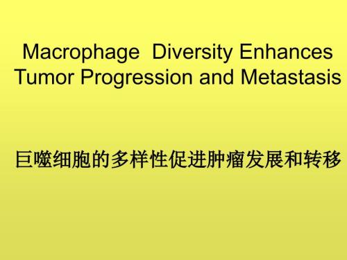 巨噬细胞多样性促进肿瘤发展和转移.ppt