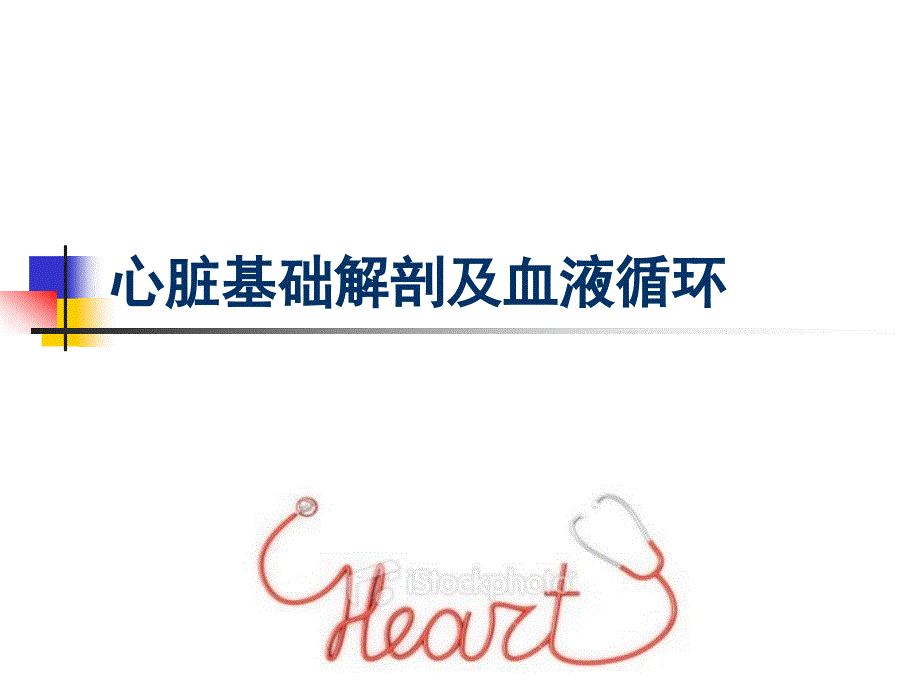心脏基础解剖PPT课件.ppt_第1页