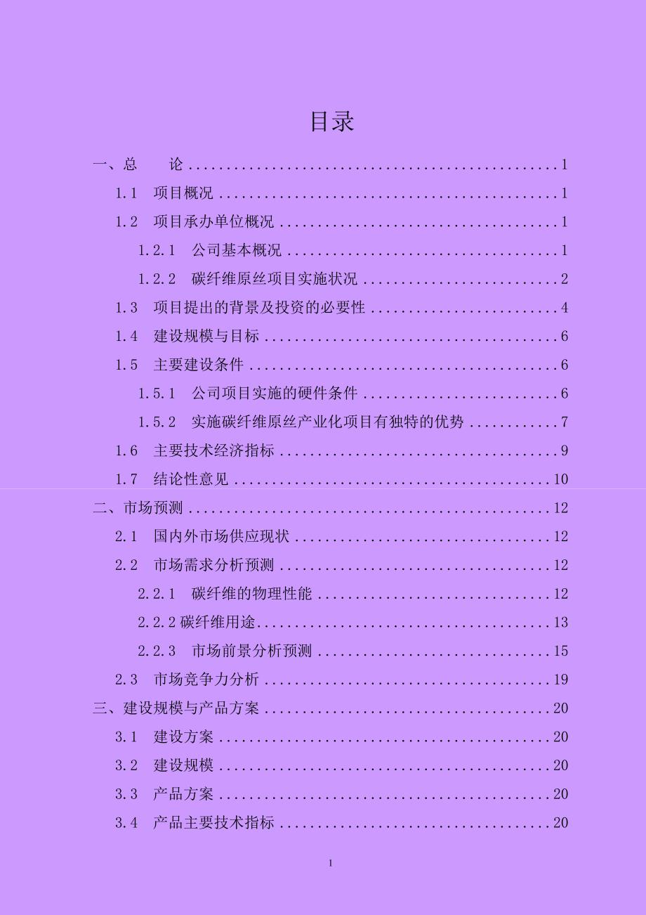 年产12万吨PAN基碳纤维原丝建设项目可行性研究报告.doc_第2页