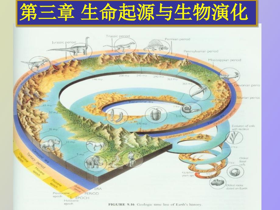 生命起源与生物进化.ppt_第1页