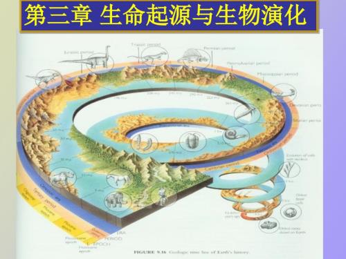 生命起源与生物进化.ppt