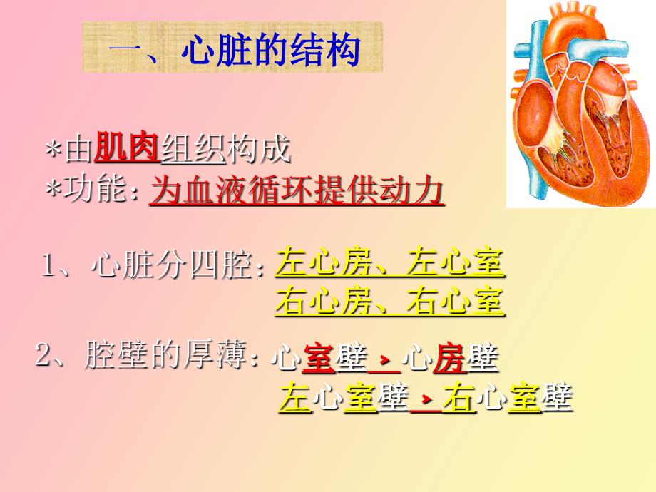 心脏疾病病人护理.ppt_第2页