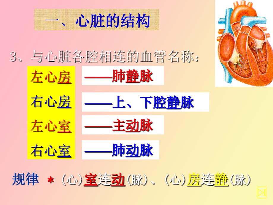心脏疾病病人护理.ppt_第3页