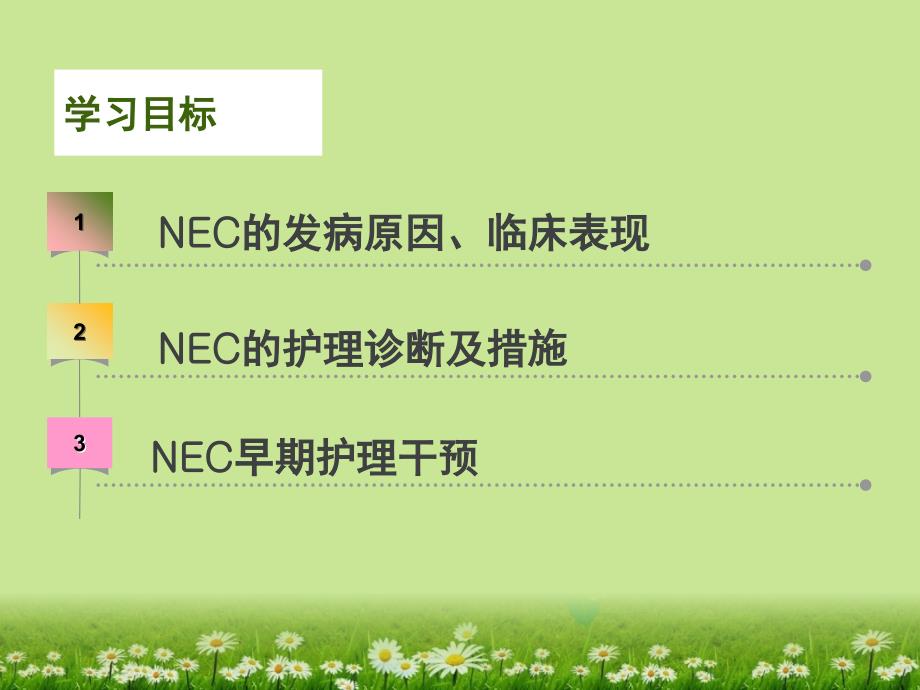 新生儿坏死性小肠结肠炎的护理新.ppt_第2页