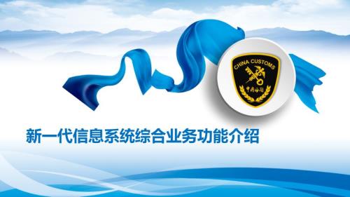 海关系统海关新一代信息系统综合业务功能培训.pptx