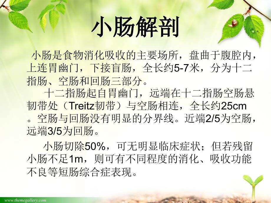 手术室护理查房PPT课件.ppt_第3页