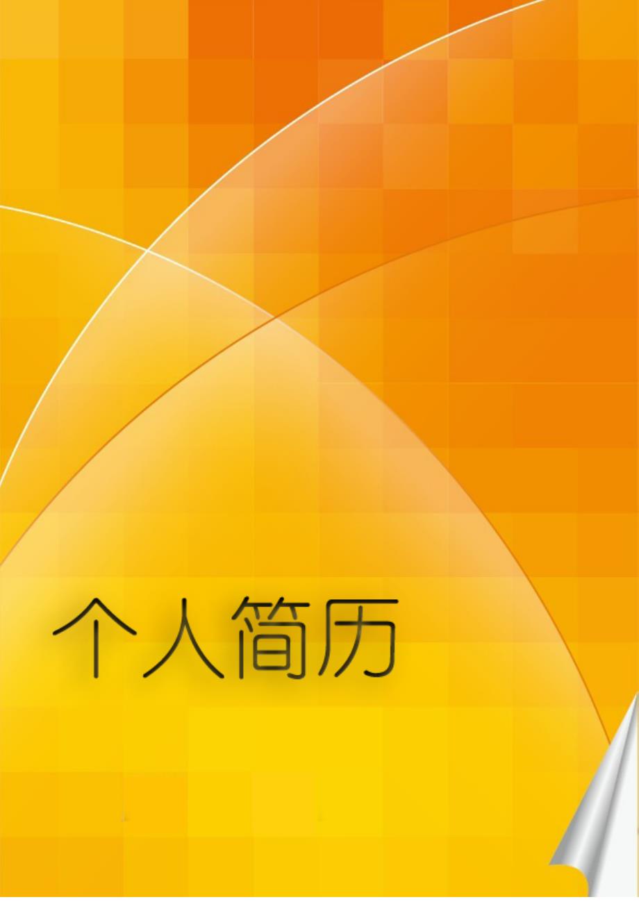 标准的个人简历表格免费下载最新电子版直接填写.doc_第3页