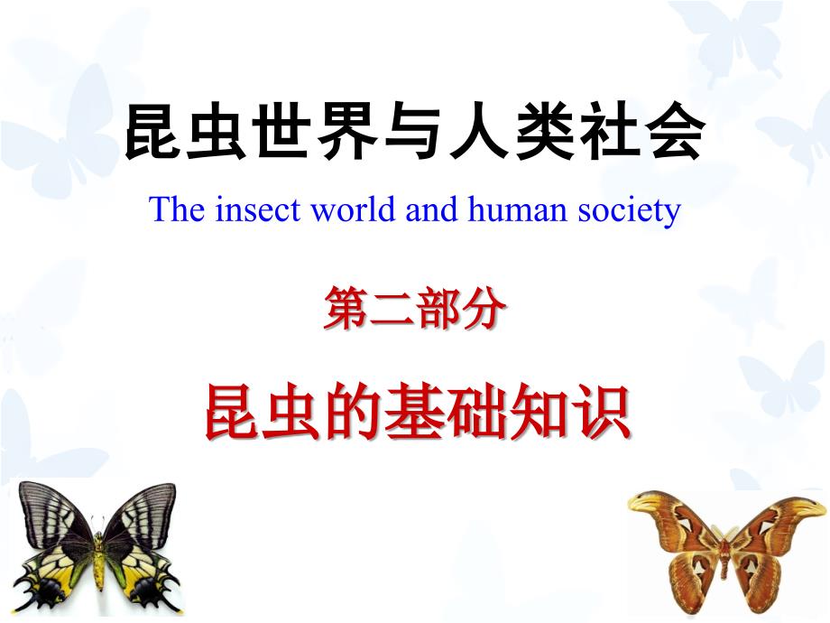 昆虫的基础知识PPT课件.ppt_第1页