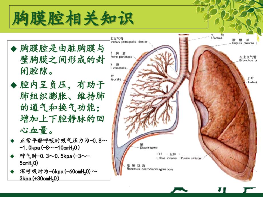 气胸围手术期的护理.ppt_第3页