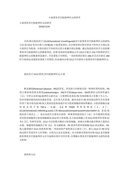 小鼠黑质多巴胺能神经元的研究.docx