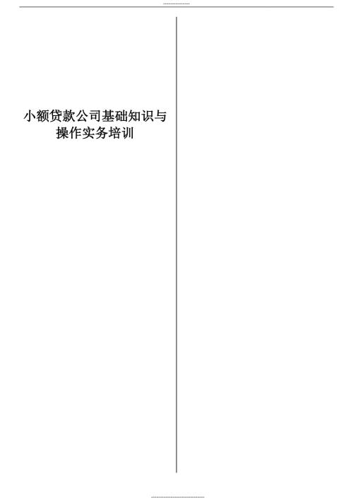 最新版小额贷款公司基础知识与操作实务培训.doc