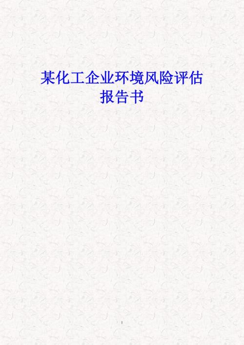某化工企业环境风险评估报告书.doc