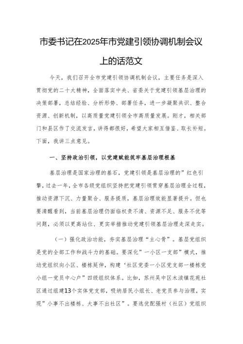 书记在2025年党建引领协调机制会议上的讲话范文.docx