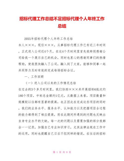 招标代理工作总结不足招标代理个人年终工作总结.doc