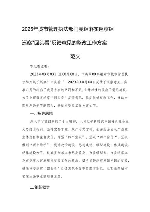 2025年城市管理执法部门党组落实巡察组巡察＂回头看＂反馈意见的整改工作方案范文.docx