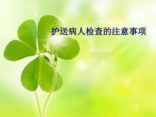 护送病人检查的注意事项.ppt