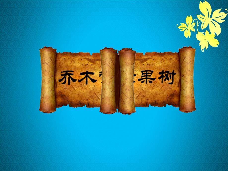杨梅栽培技术PPT课件.ppt_第1页