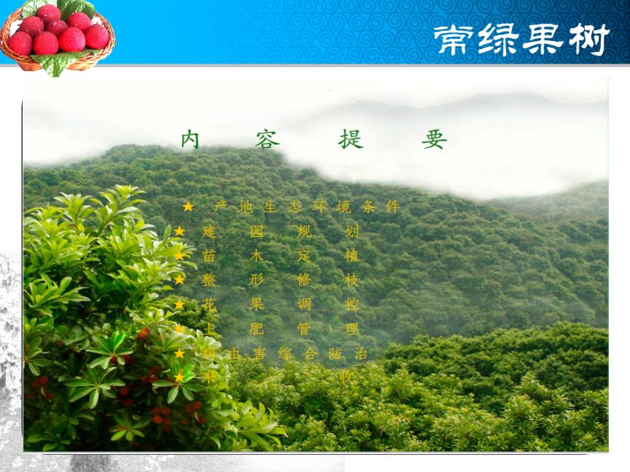 杨梅栽培技术PPT课件.ppt_第3页
