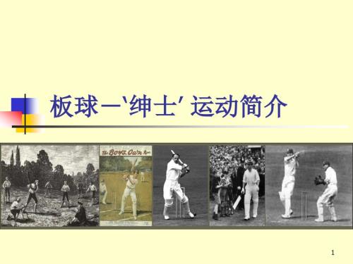 板球绅士运动简介.ppt
