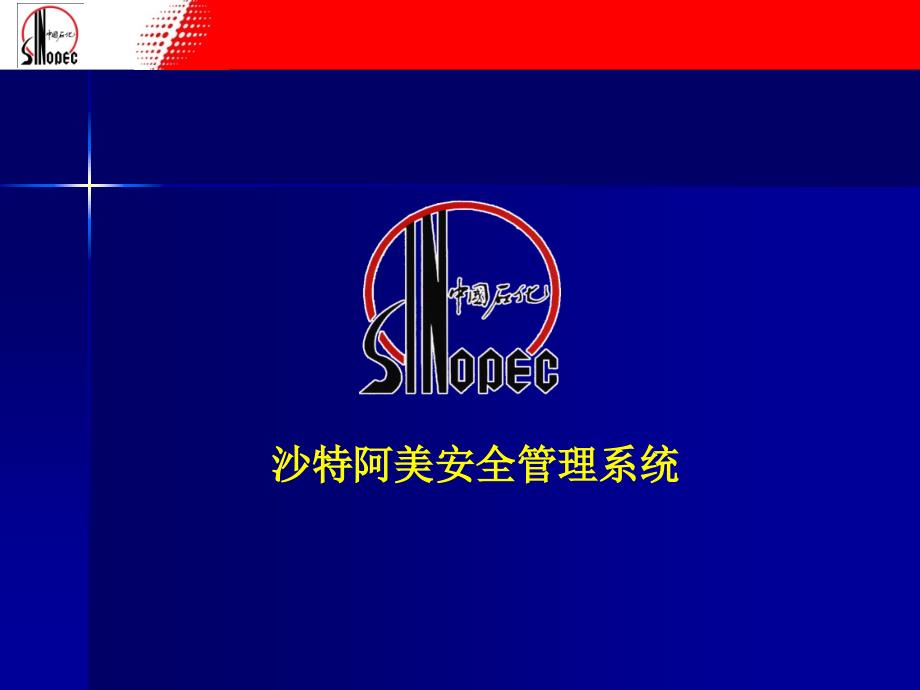 沙特安全管理系统PPT课件.ppt_第1页