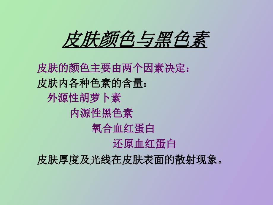 皮肤的色斑与美白祛斑化妆品.ppt_第2页