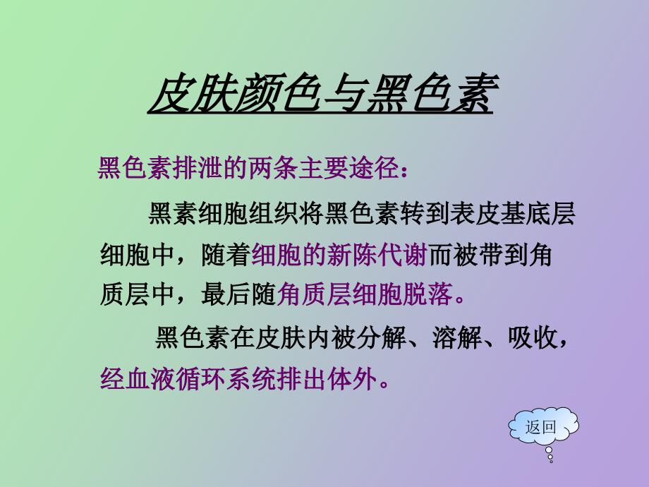 皮肤的色斑与美白祛斑化妆品.ppt_第3页