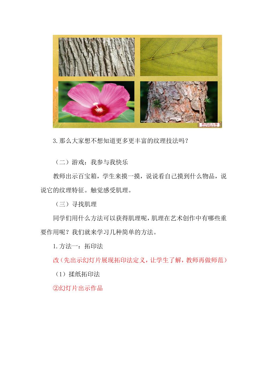 湘教版小学美术六年级上册巧用肌理教学设计.doc_第3页