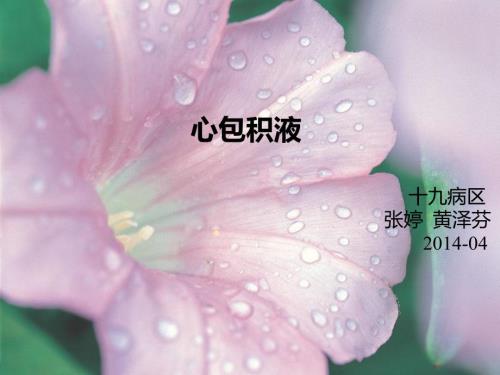 心包积液PPT课件.ppt