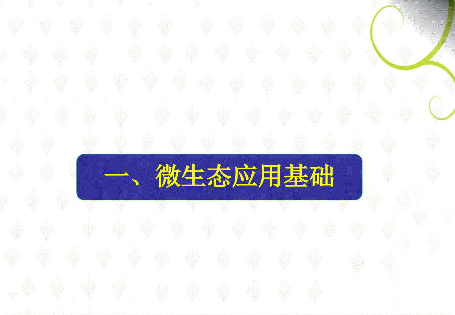 微生态制剂在养殖场中的应用.ppt_第2页