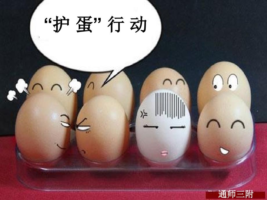 护蛋行动PPT课件.ppt_第1页