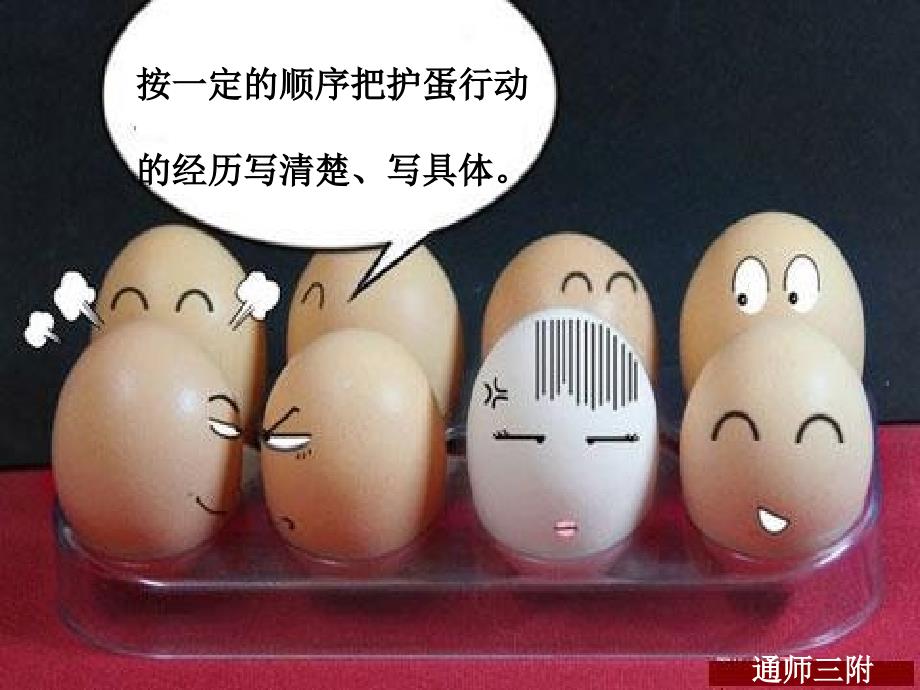 护蛋行动PPT课件.ppt_第3页