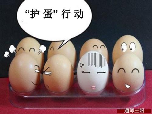 护蛋行动PPT课件.ppt